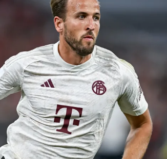 男篮的启示 男篮的启示