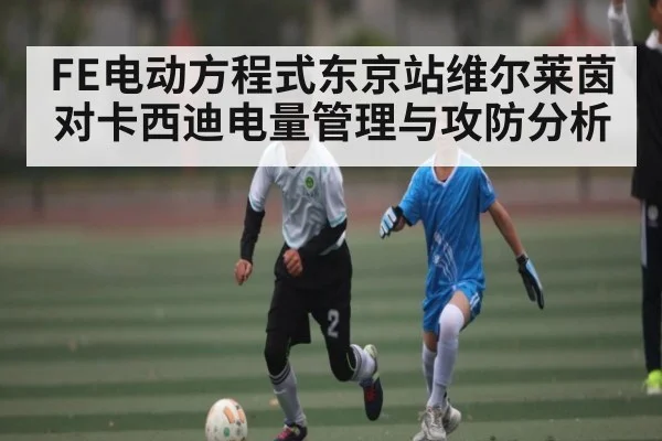 FE电动方程式东京站维尔莱茵对卡西迪电量管理与攻防分析